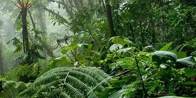 302 Fountain of Youth