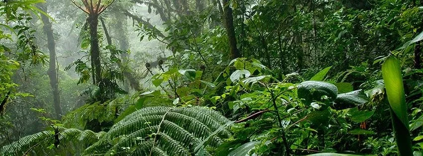 Essence of Beauty Ottawa - 302 Fountain of Youth