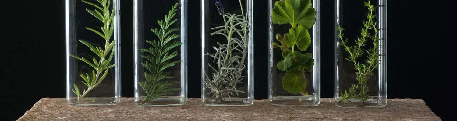 Essence of Beauty Ottawa - Products